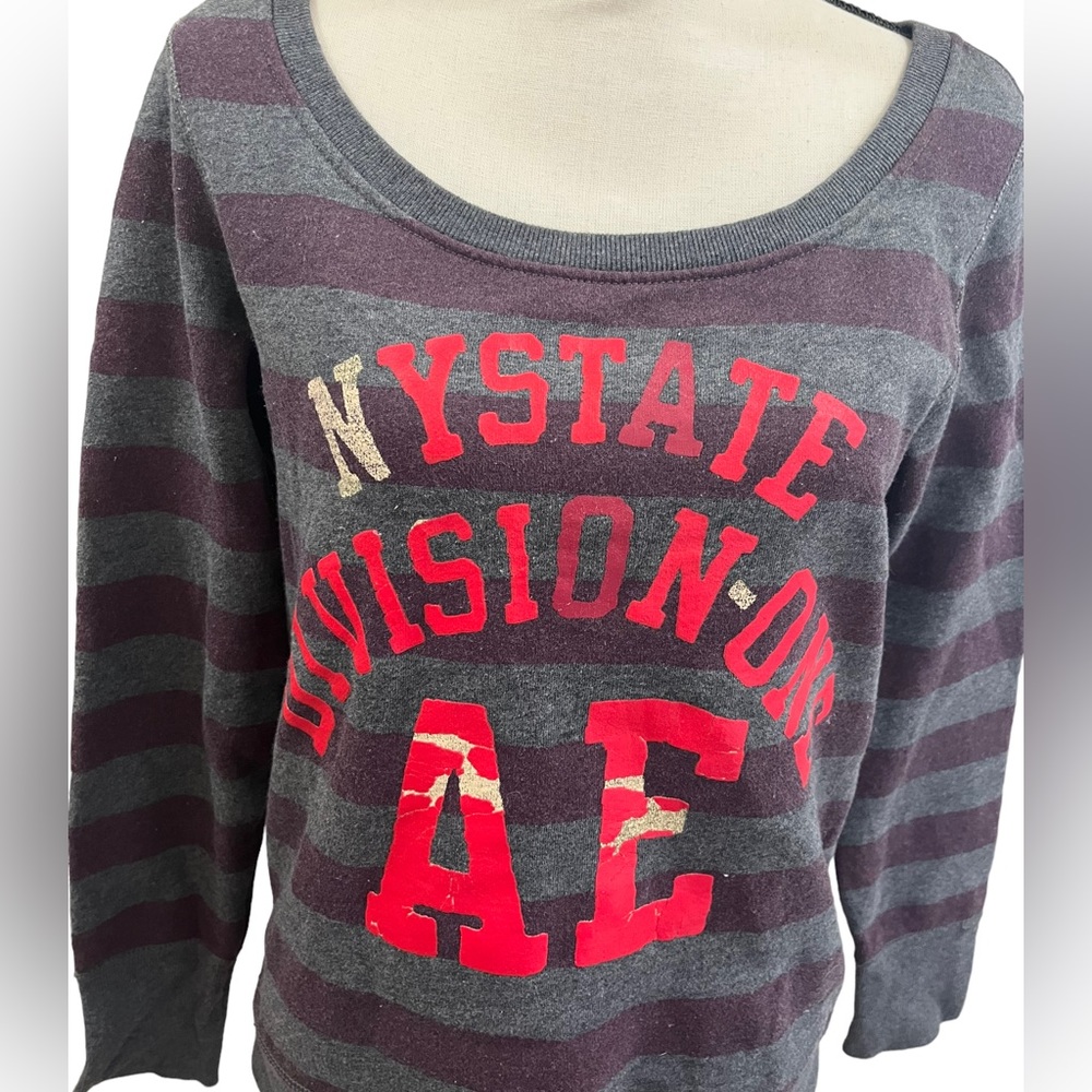 AE CREWNECK STRIPED GRAPHIC SWEATER